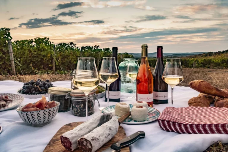 Private Wine Caves Tours in France Sip, Swirl, and Savor in Seclusion