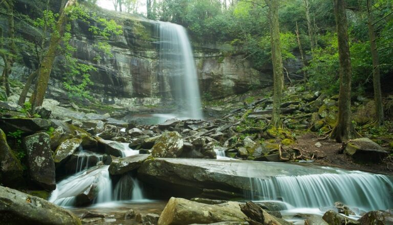 Great Smoky Mountains, Tennessee A Wild Adventure Through Mist and History