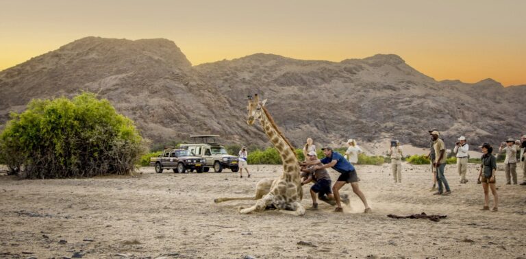 The Epic Family Adventure Why a Safari Is the Perfect Trip for Your Crew