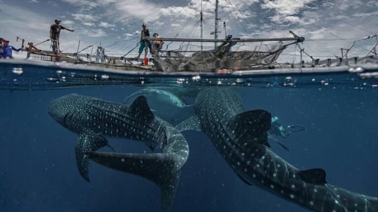 Hidden Gem Indonesia Surga Tersembunyi yang Bikin Kamu Nggak Mau Pulang