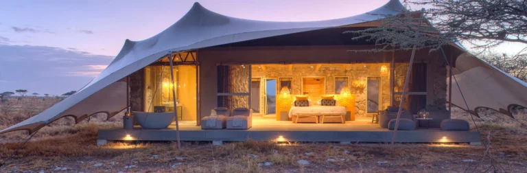 Best Safari Vacation Packages for Wild Luxury Escapes
