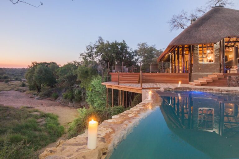 African Safari Travel Packages The Ultimate Guide