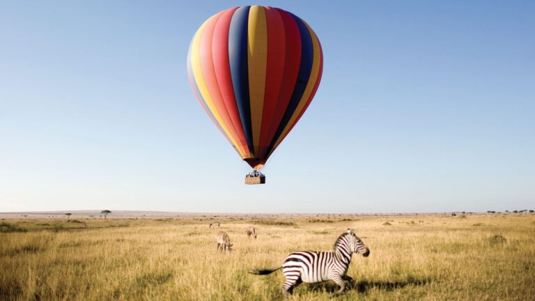 Best African Safari Tour A Wild Adventure You’ll Never Forget