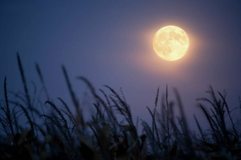 Supermoon Oktober 2025 Bulan Raksasa Terang Benderang Menyapa Langit Indonesia