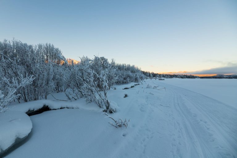 Yukon Northern Lights Tour Witnessing the Aurora Borealis in One of Canada’s Most Spectacular Winter Landscapes
