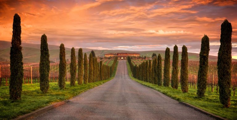 Napa Valley Wine Tasting Discover World-Class Vineyards, Scenic Wineries, and Unforgettable California Wine Experiences