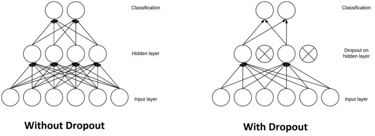The Dropout Layer Why Forgetting is the Key to Smarter AI