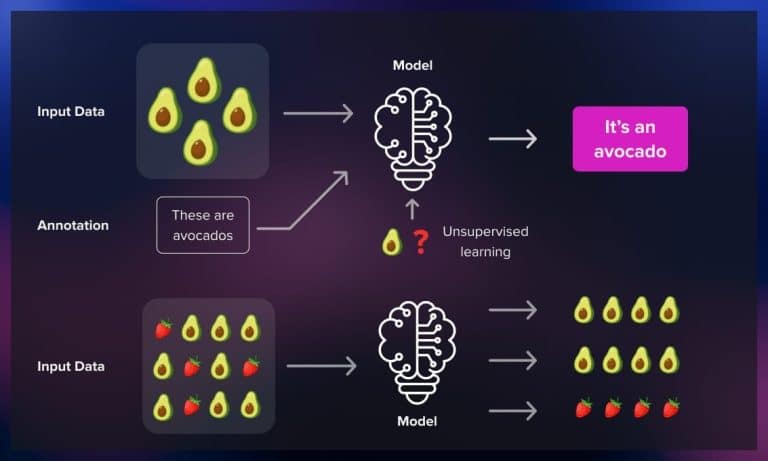 Supervised Learning: The Art of Training Machines with a Human Touch